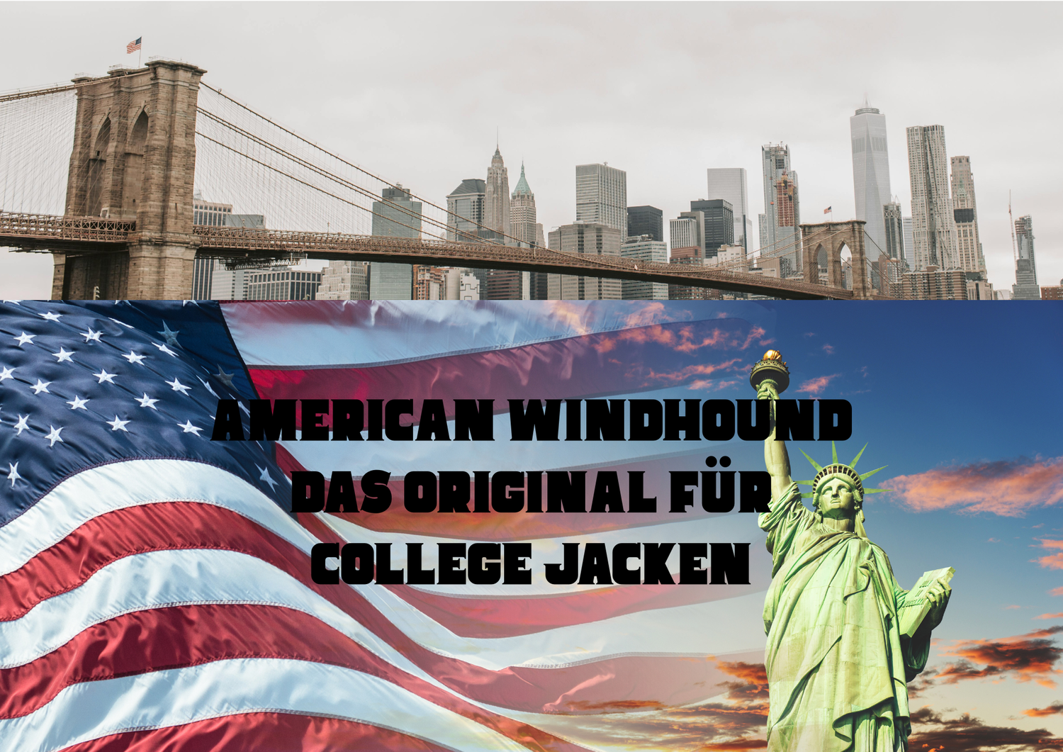 College Jacke Baseballjacke Bomberjacke - Balldiri & Windhound