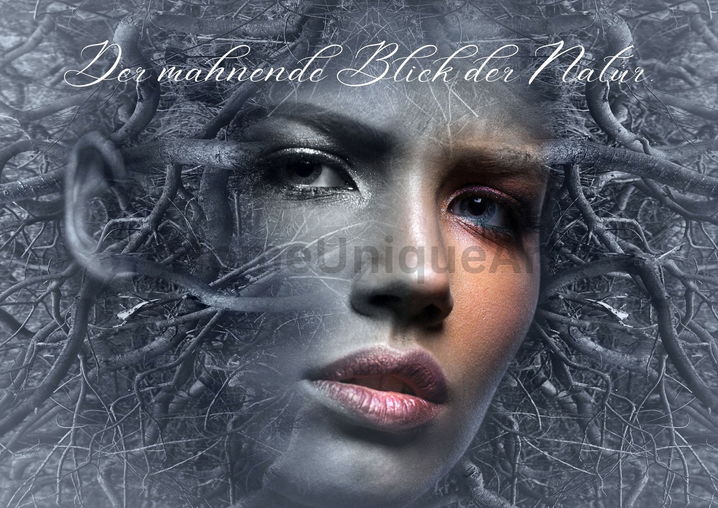 Digitaler Download Bild Foto Bildkunst Dekoration - Balldiri & Windhound