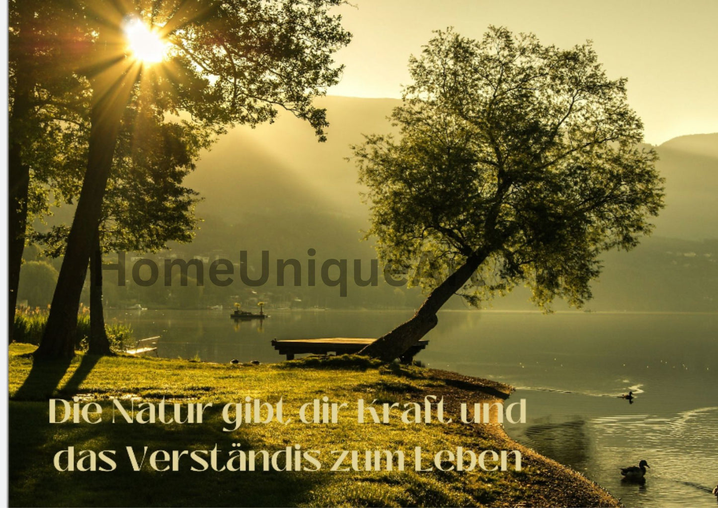 Digitaler Download Bild Foto Bildkunst Dekoration - Balldiri & Windhound