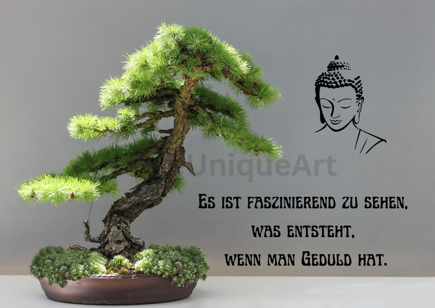 Digitaler Download Bild Foto Bildkunst Dekoration - Balldiri & Windhound