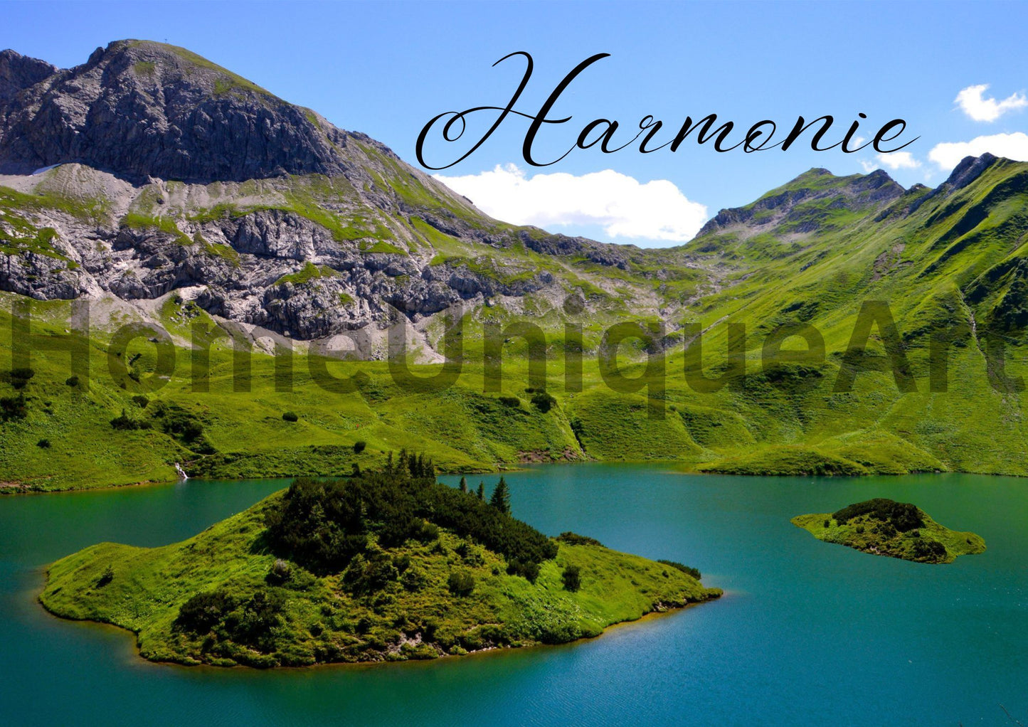 Digitaler Download Bild Foto Bildkunst Dekoration - Balldiri & Windhound