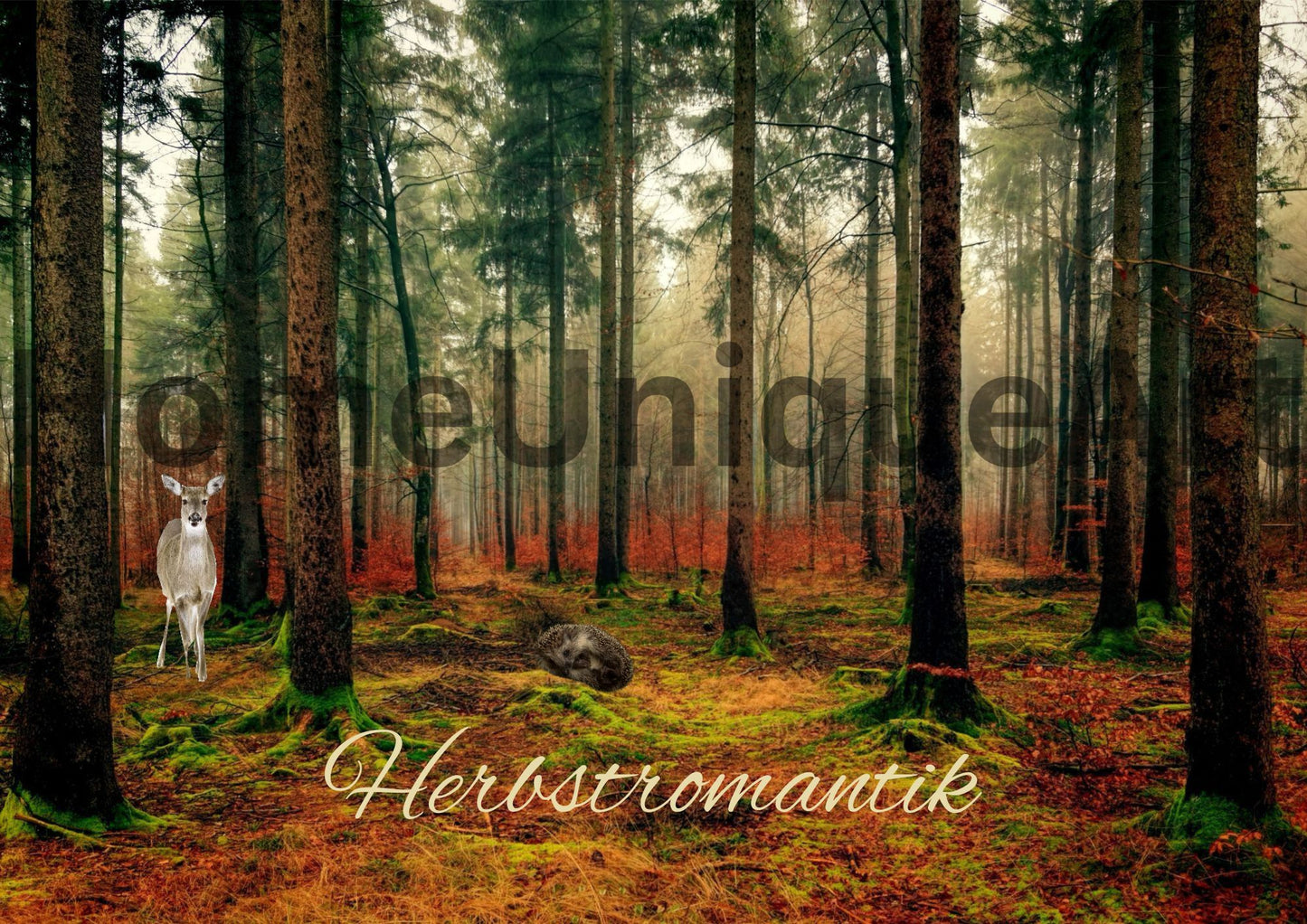 Digitaler Download Bild Foto Bildkunst Dekoration - Balldiri & Windhound