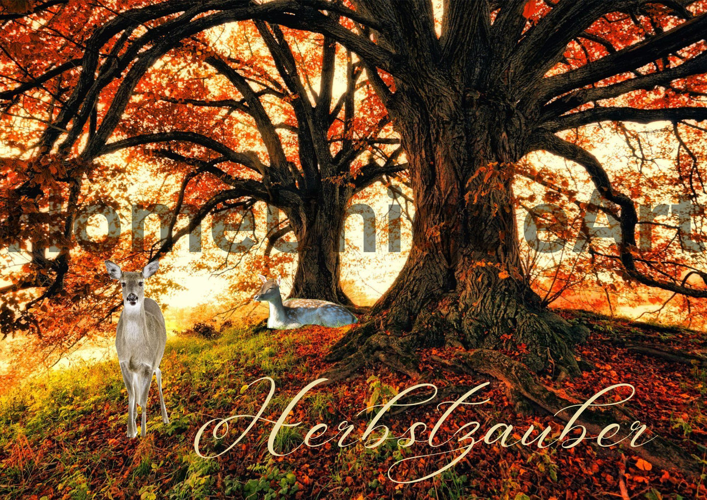 Digitaler Download Bild Foto Bildkunst Dekoration - Balldiri & Windhound