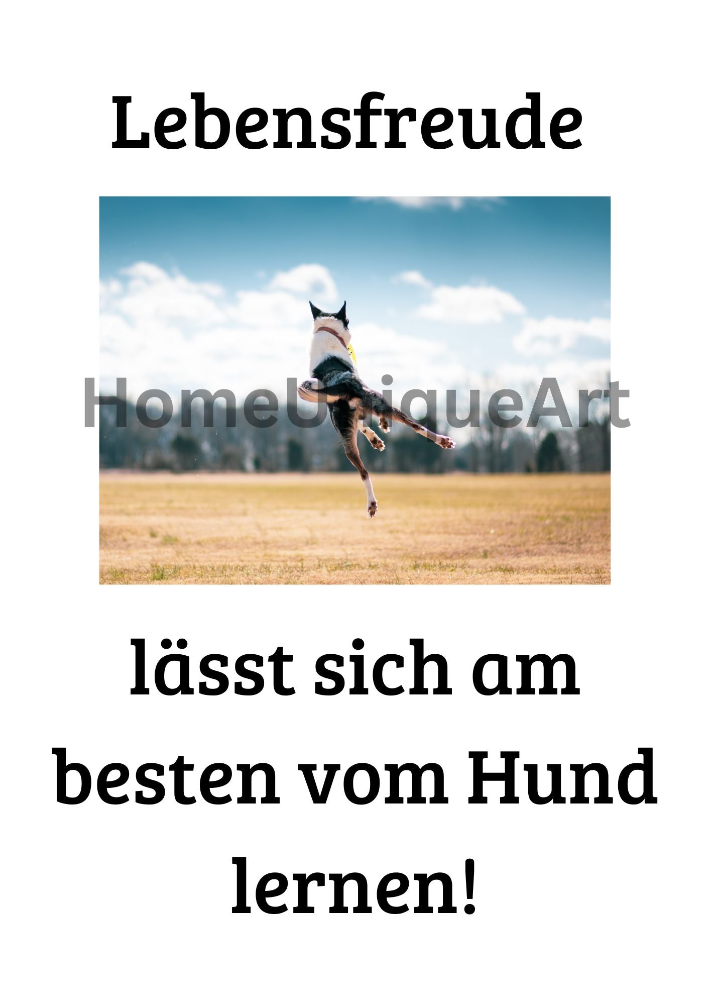 Digitaler Download Bild Foto Bildkunst Dekoration - Balldiri & Windhound