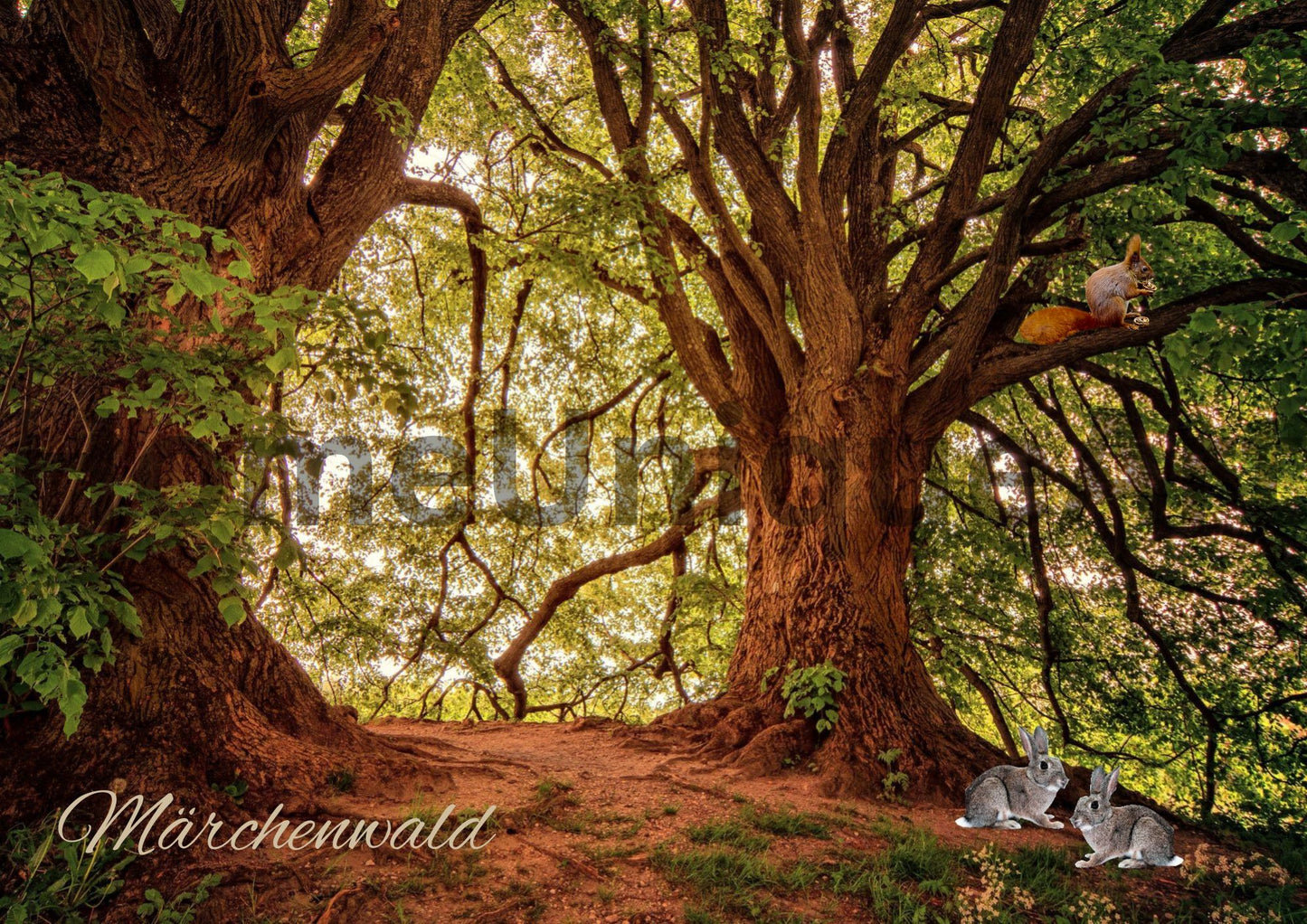 Digitaler Download Bild Foto Bildkunst Dekoration - Balldiri & Windhound