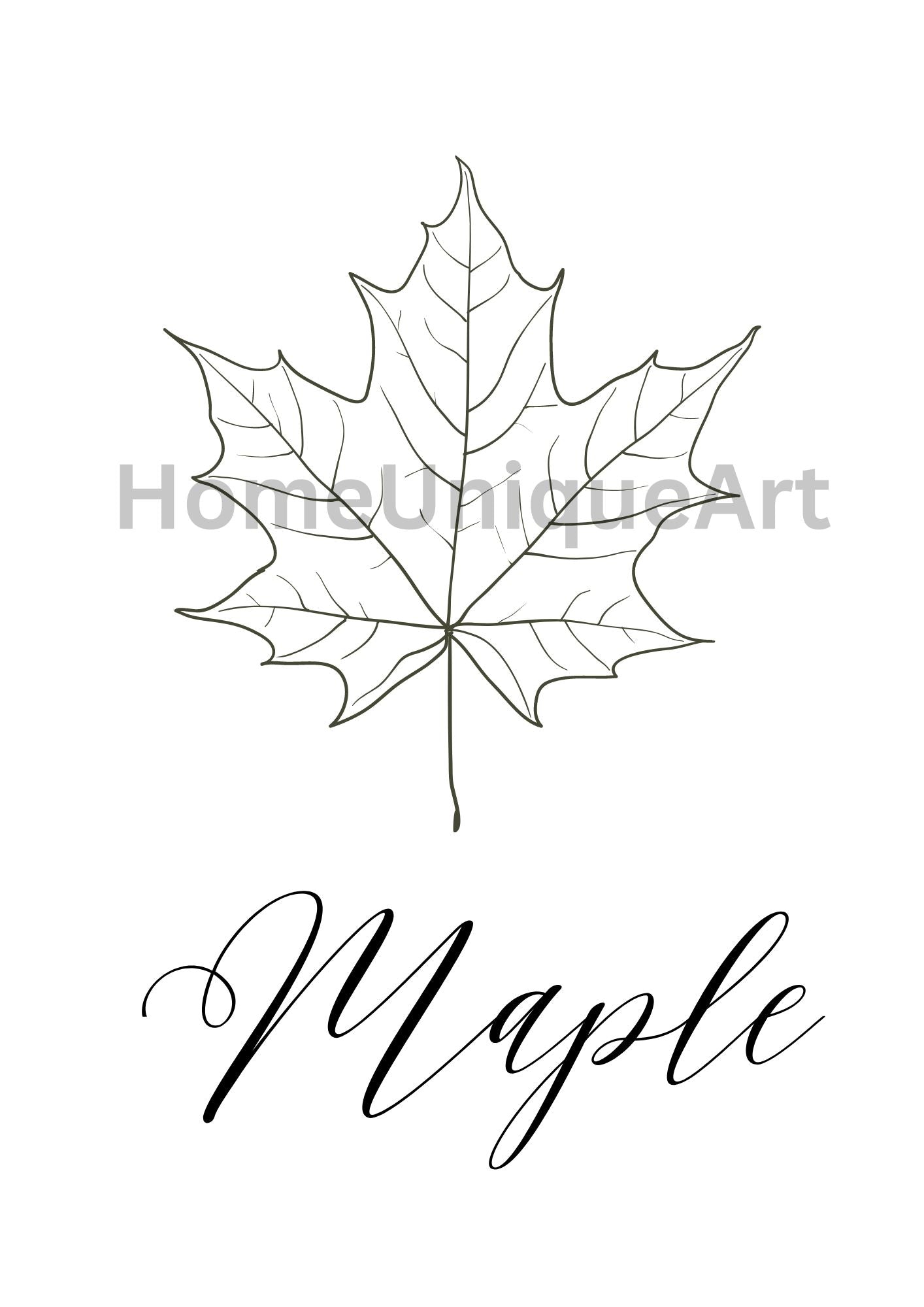 Digitaler Download Bild Foto Bildkunst Dekoration - Balldiri & Windhound