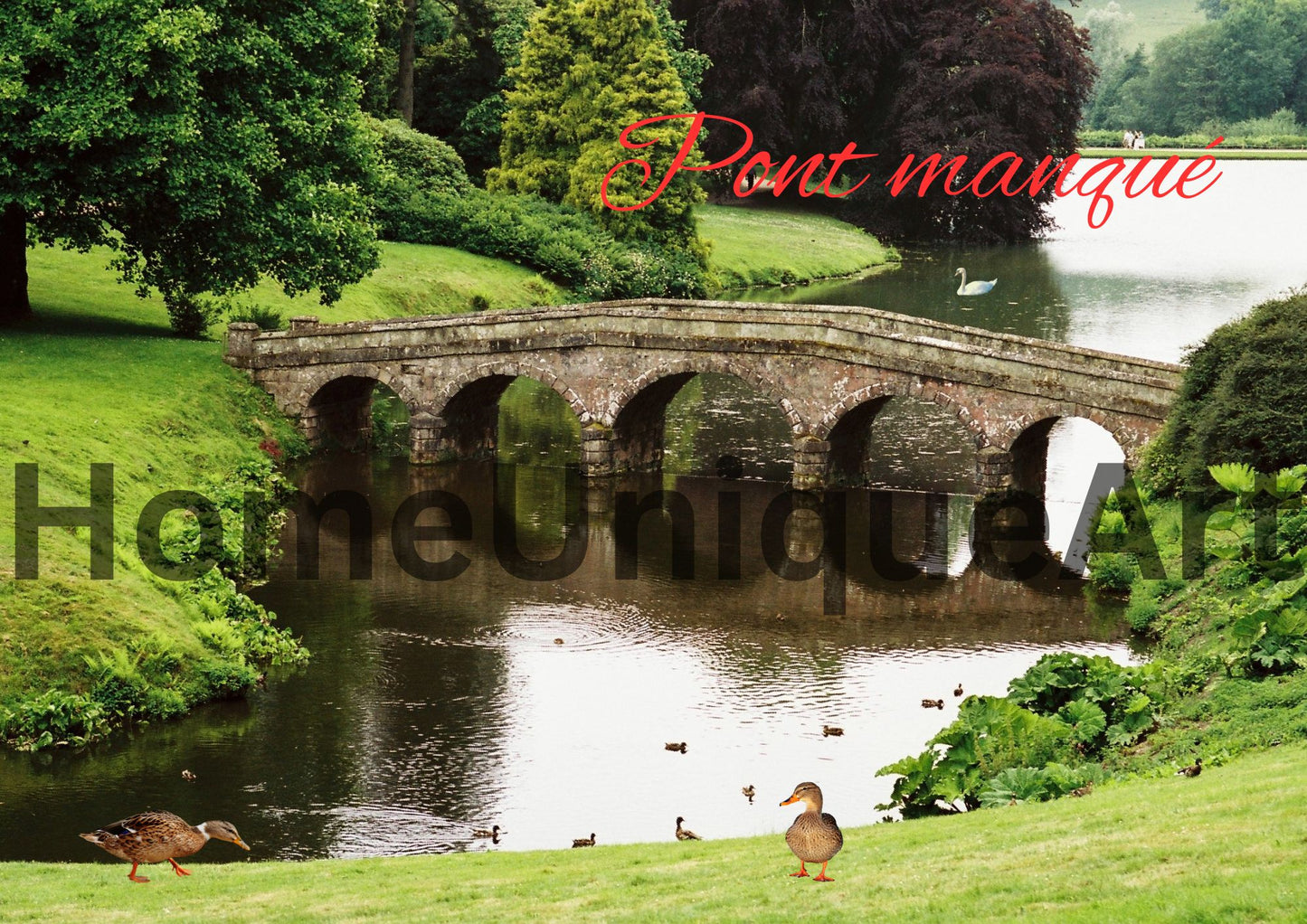 Digitaler Download Bild Foto Bildkunst Dekoration - Balldiri & Windhound