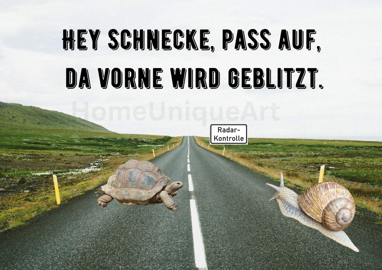 Digitaler Download Bild Foto Bildkunst Dekoration - Balldiri & Windhound