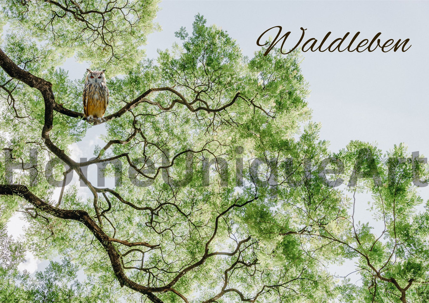 Digitaler Download Bild Foto Bildkunst Dekoration - Balldiri & Windhound