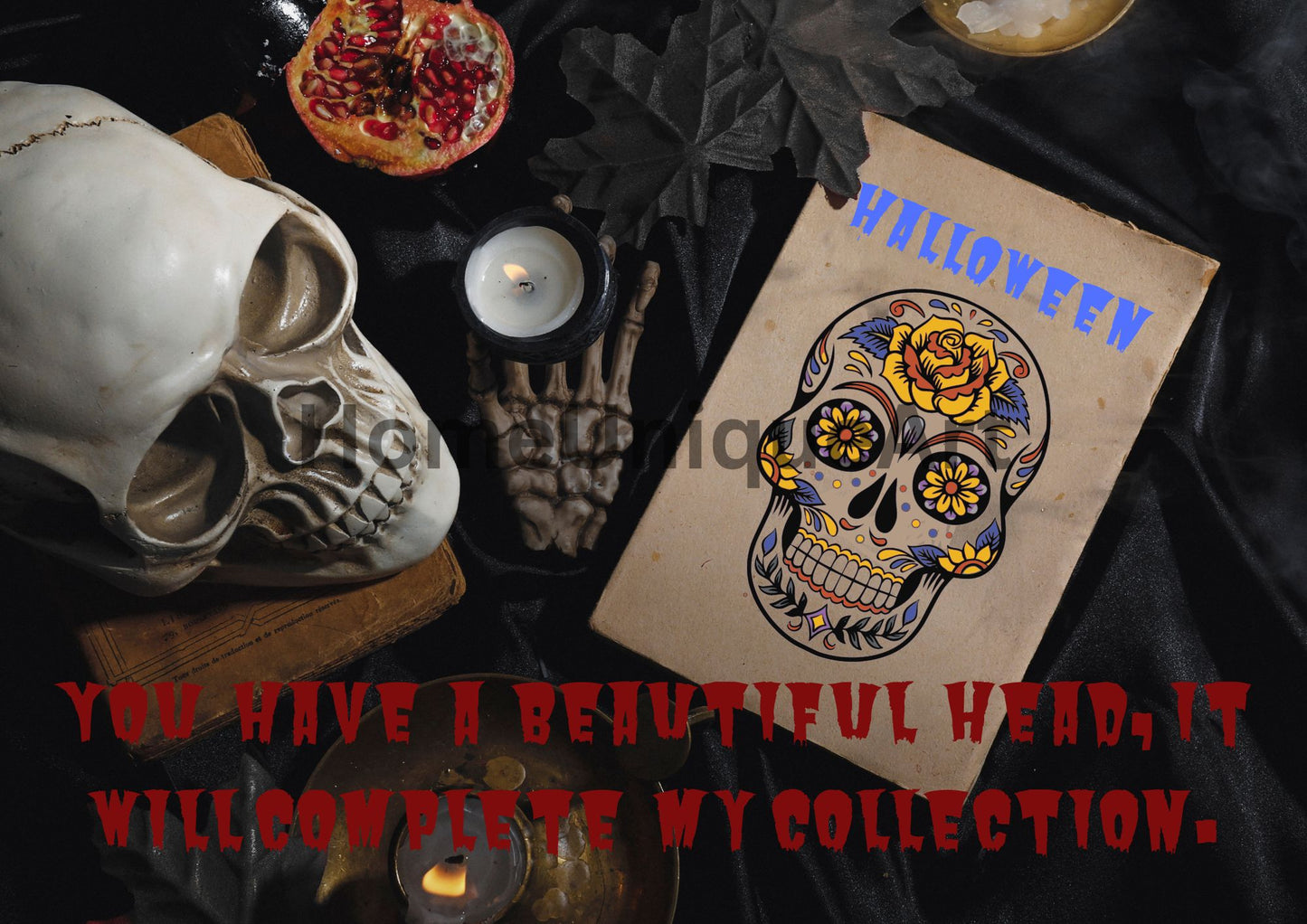 Digitaler Download Bild Foto Bildkunst Dekoration - Balldiri & Windhound