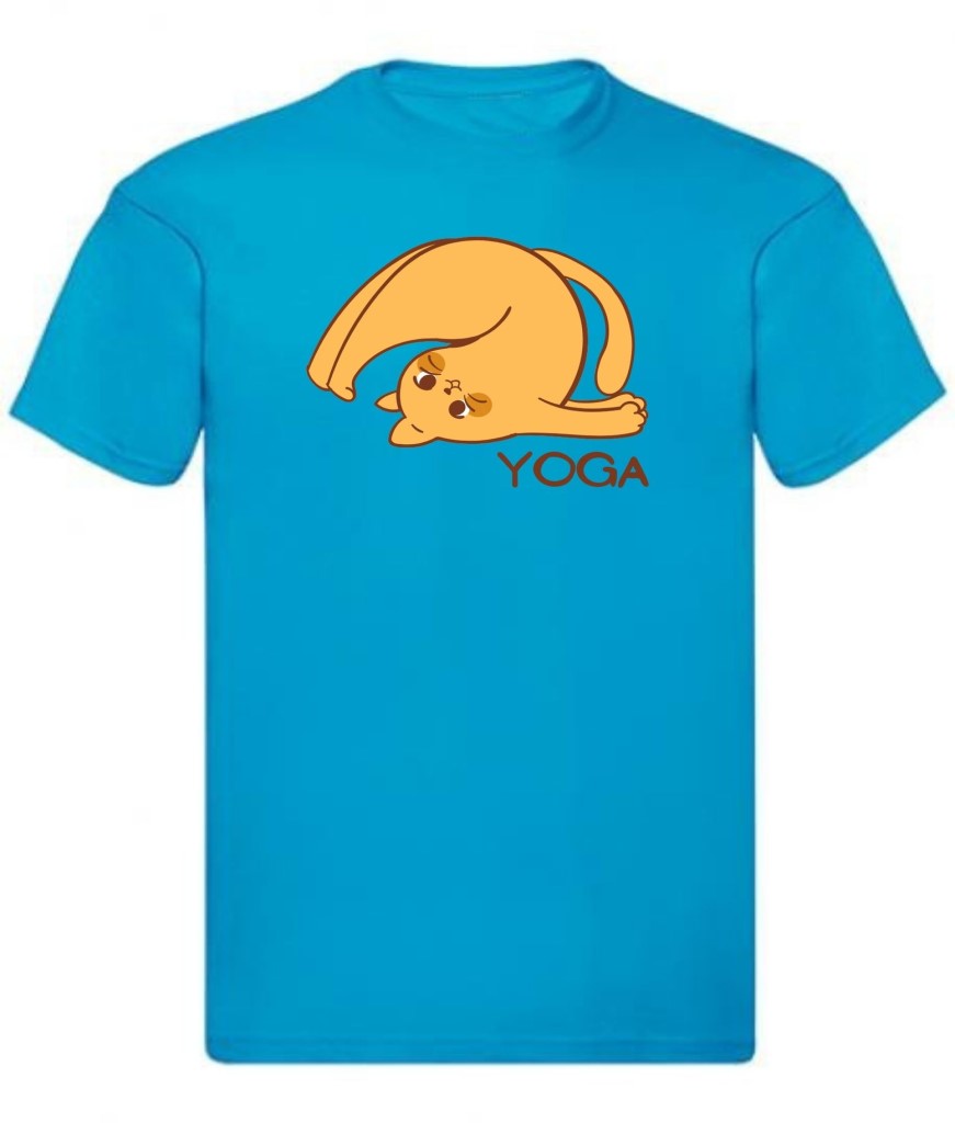 Balldiri T-Shirt Herren Yoga Relax Wellness S bis 5XL